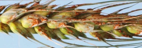 Xem chi tiết